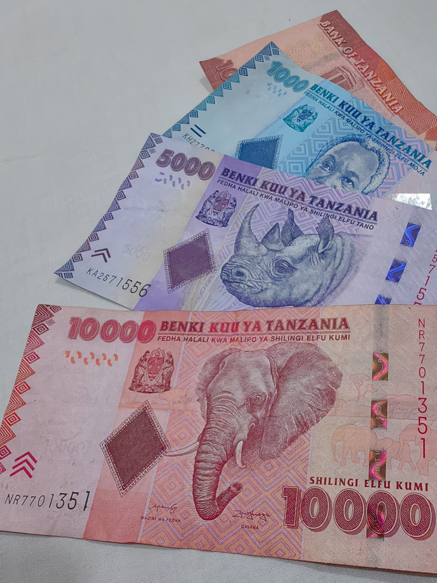 До поездки на Занзибар о таинственной точке на глобусе Наталья Клипова знала только из книги про «Доктора Айболита». Но спустя 24 часа пути из Вязников до восточного побережья Африки туристка навсегда влюбилась в лазурные волны и чистейшие песчаные пляжи. Однако красота природы резко контрастировала с весьма скромным бытом местного населения, которое, несмотря ни на что, не унывает и никуда не спешит.