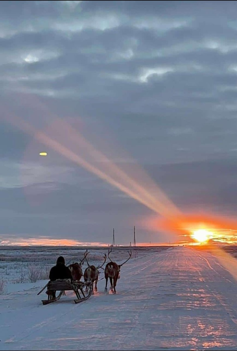 Что, если бы вам внезапно предложили покинуть привычные места и отправиться в удивительный, кажущийся таким суровым край? Решение о переезде на Чукотку Наталья Филонова называет безумной авантюрой. Как бы то ни было, в декабре прошлого года женщина отметила семилетие новой жизни. А ее любовь к Северу, как в крепких семейных отношениях, стала более осознанной и даже усилилась, пройдя через кризисы.