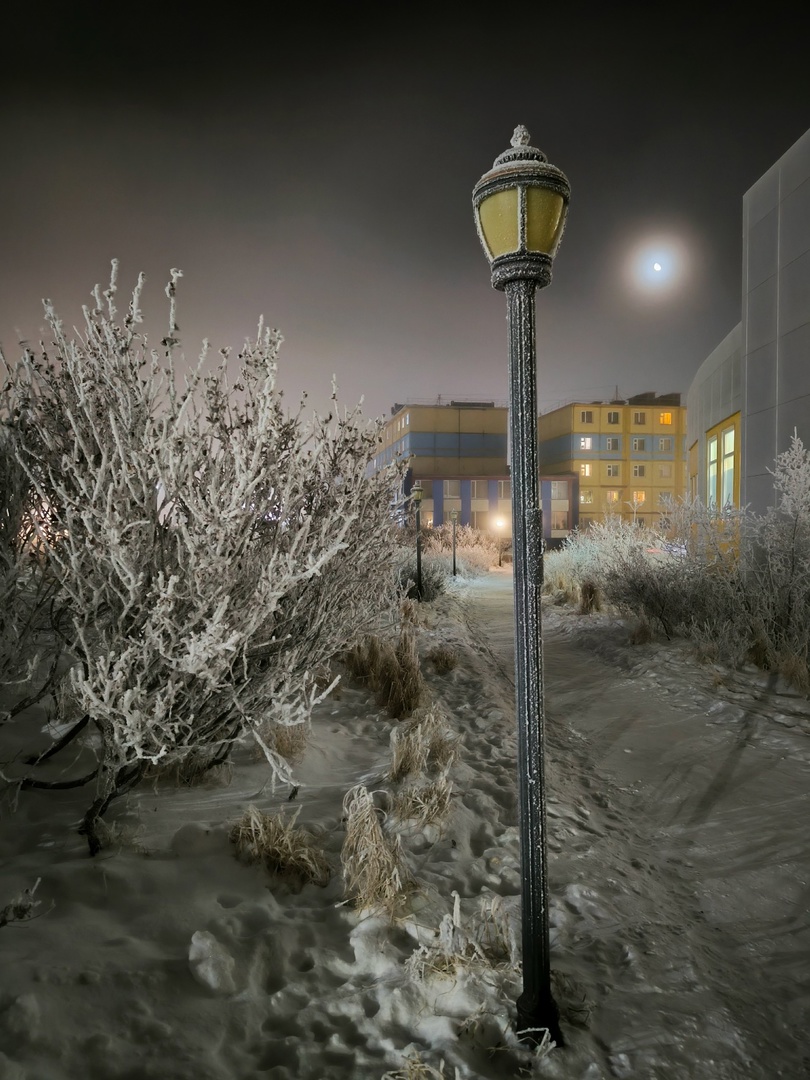 Что, если бы вам внезапно предложили покинуть привычные места и отправиться в удивительный, кажущийся таким суровым край? Решение о переезде на Чукотку Наталья Филонова называет безумной авантюрой. Как бы то ни было, в декабре прошлого года женщина отметила семилетие новой жизни. А ее любовь к Северу, как в крепких семейных отношениях, стала более осознанной и даже усилилась, пройдя через кризисы.