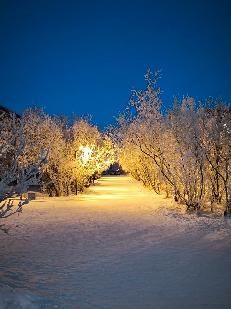 Что, если бы вам внезапно предложили покинуть привычные места и отправиться в удивительный, кажущийся таким суровым край? Решение о переезде на Чукотку Наталья Филонова называет безумной авантюрой. Как бы то ни было, в декабре прошлого года женщина отметила семилетие новой жизни. А ее любовь к Северу, как в крепких семейных отношениях, стала более осознанной и даже усилилась, пройдя через кризисы.