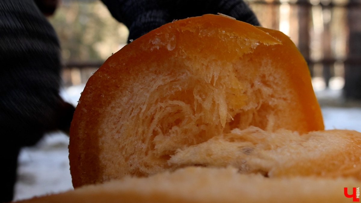 Посмотреть на зубров теперь можно на территории национального парка «Мещёра». В Гусь-Хрустальном районе для туристов открыли демонстрационный вольер. Наблюдать за животными, потомки которых видели мамонтов, удастся на совсем небольшом расстоянии! «Ключ-Медиа» уже оценил новое направление тура выходного дня.