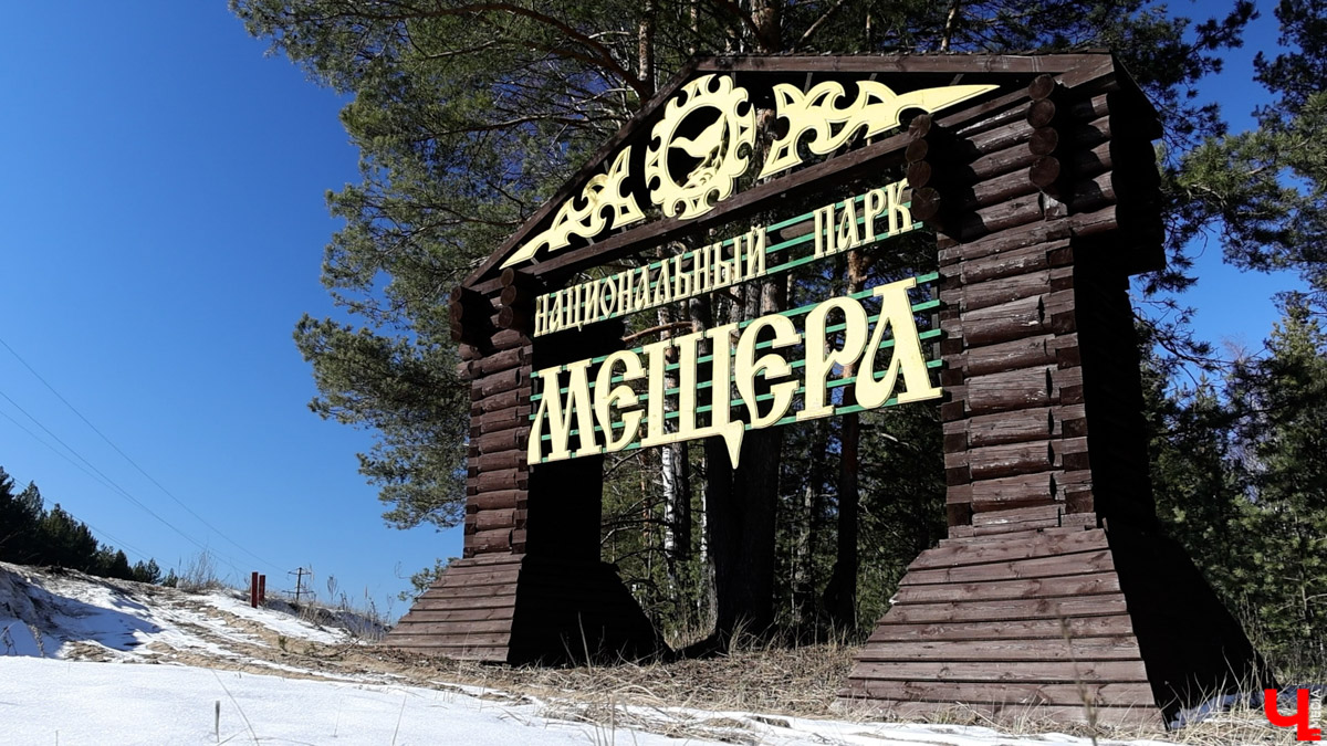 Посмотреть на зубров теперь можно на территории национального парка «Мещёра». В Гусь-Хрустальном районе для туристов открыли демонстрационный вольер. Наблюдать за животными, потомки которых видели мамонтов, удастся на совсем небольшом расстоянии! «Ключ-Медиа» уже оценил новое направление тура выходного дня.