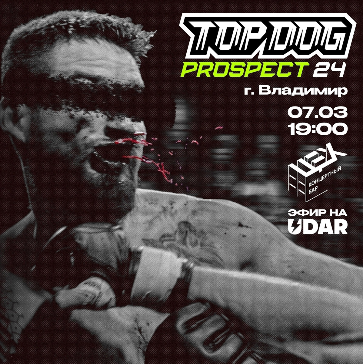 Владимир ждут сразу два масштабных события — концерты, которые устроят Дмитрий Колдун и группа «Пикник». Выступления звезд окутают горожан магией живого звучания и надолго зарядят позитивной энергией! Что еще интересного произойдет на этой неделе — читайте в нашей афише.