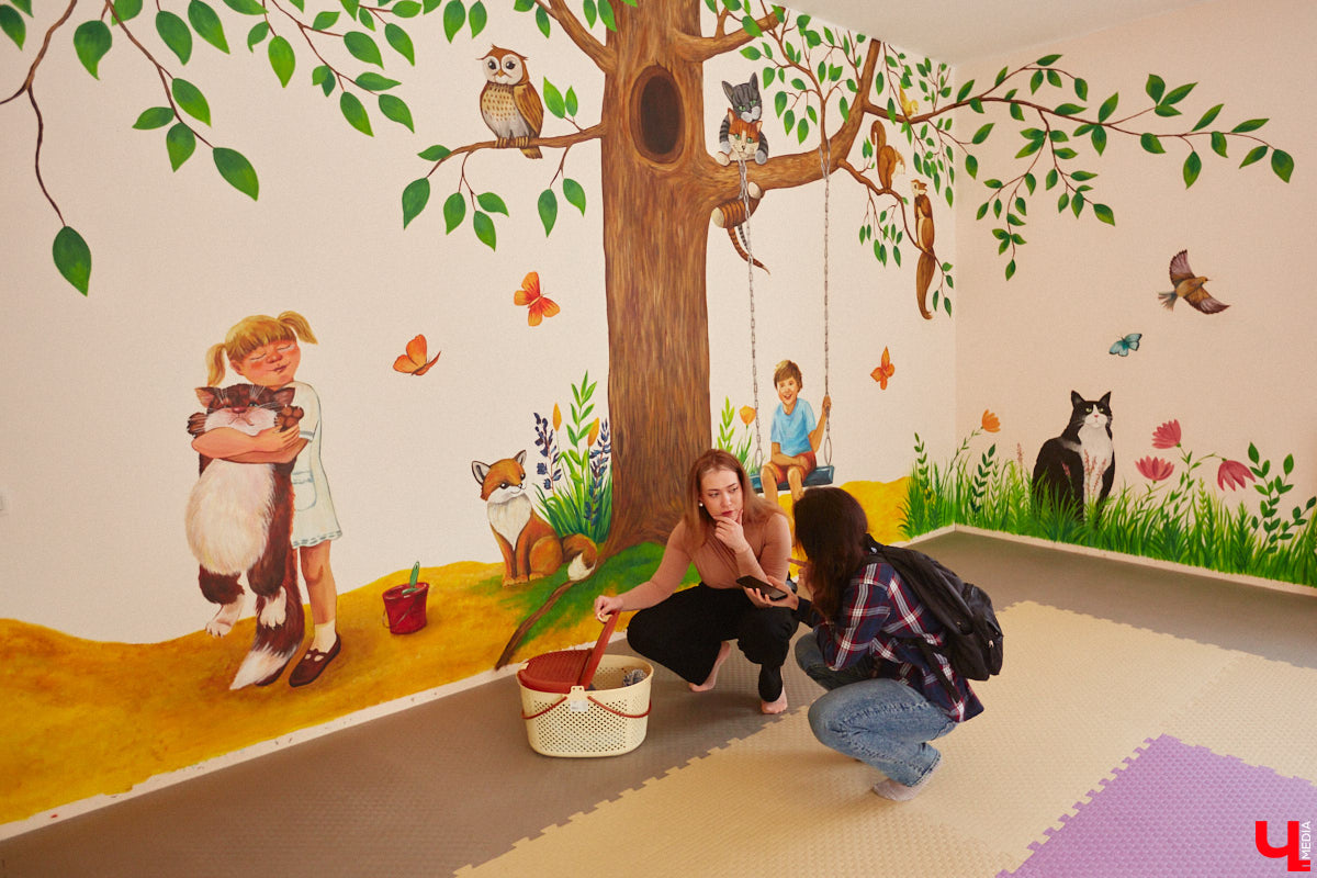 «Кошкиному дому» всего два месяца. Но за этот короткий срок уже порядка десяти его жильцов обрели новых хозяев. Для пушистых постояльцев оборудован комфортный зал, где также проводятся мероприятия для детей и взрослых. А на будущее у проекта масштабные планы. В гостях у центра добра побывал «Ключ-Медиа».