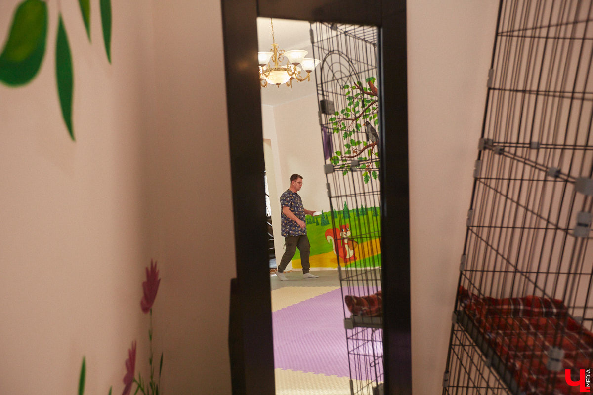 «Кошкиному дому» всего два месяца. Но за этот короткий срок уже порядка десяти его жильцов обрели новых хозяев. Для пушистых постояльцев оборудован комфортный зал, где также проводятся мероприятия для детей и взрослых. А на будущее у проекта масштабные планы. В гостях у центра добра побывал «Ключ-Медиа».