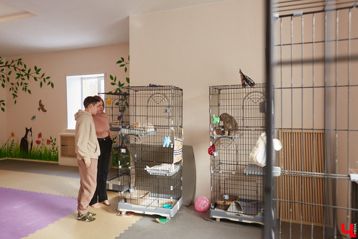 «Кошкиному дому» всего два месяца. Но за этот короткий срок уже порядка десяти его жильцов обрели новых хозяев. Для пушистых постояльцев оборудован комфортный зал, где также проводятся мероприятия для детей и взрослых. А на будущее у проекта масштабные планы. В гостях у центра добра побывал «Ключ-Медиа».