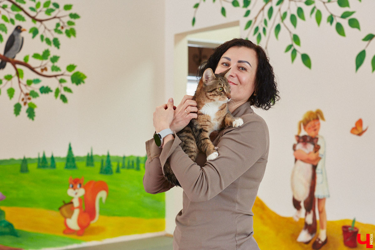 «Кошкиному дому» всего два месяца. Но за этот короткий срок уже порядка десяти его жильцов обрели новых хозяев. Для пушистых постояльцев оборудован комфортный зал, где также проводятся мероприятия для детей и взрослых. А на будущее у проекта масштабные планы. В гостях у центра добра побывал «Ключ-Медиа».