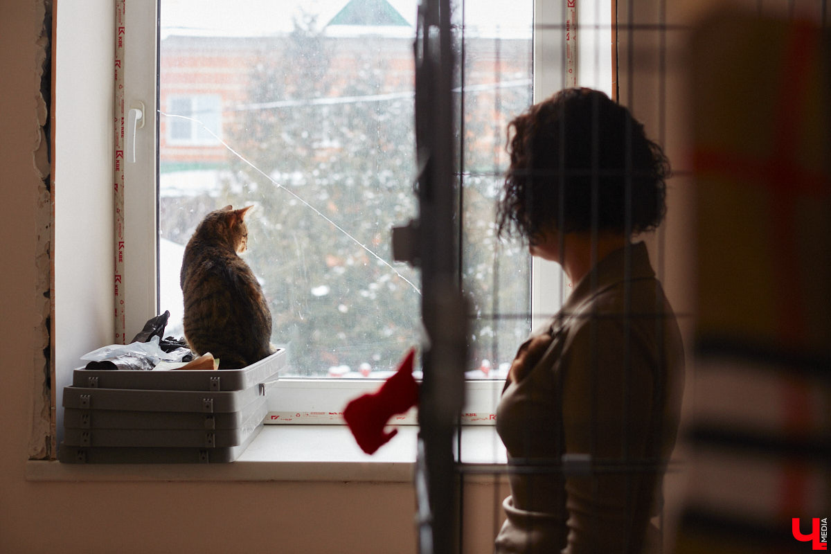 «Кошкиному дому» всего два месяца. Но за этот короткий срок уже порядка десяти его жильцов обрели новых хозяев. Для пушистых постояльцев оборудован комфортный зал, где также проводятся мероприятия для детей и взрослых. А на будущее у проекта масштабные планы. В гостях у центра добра побывал «Ключ-Медиа».