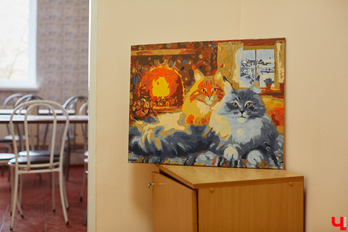 «Кошкиному дому» всего два месяца. Но за этот короткий срок уже порядка десяти его жильцов обрели новых хозяев. Для пушистых постояльцев оборудован комфортный зал, где также проводятся мероприятия для детей и взрослых. А на будущее у проекта масштабные планы. В гостях у центра добра побывал «Ключ-Медиа».