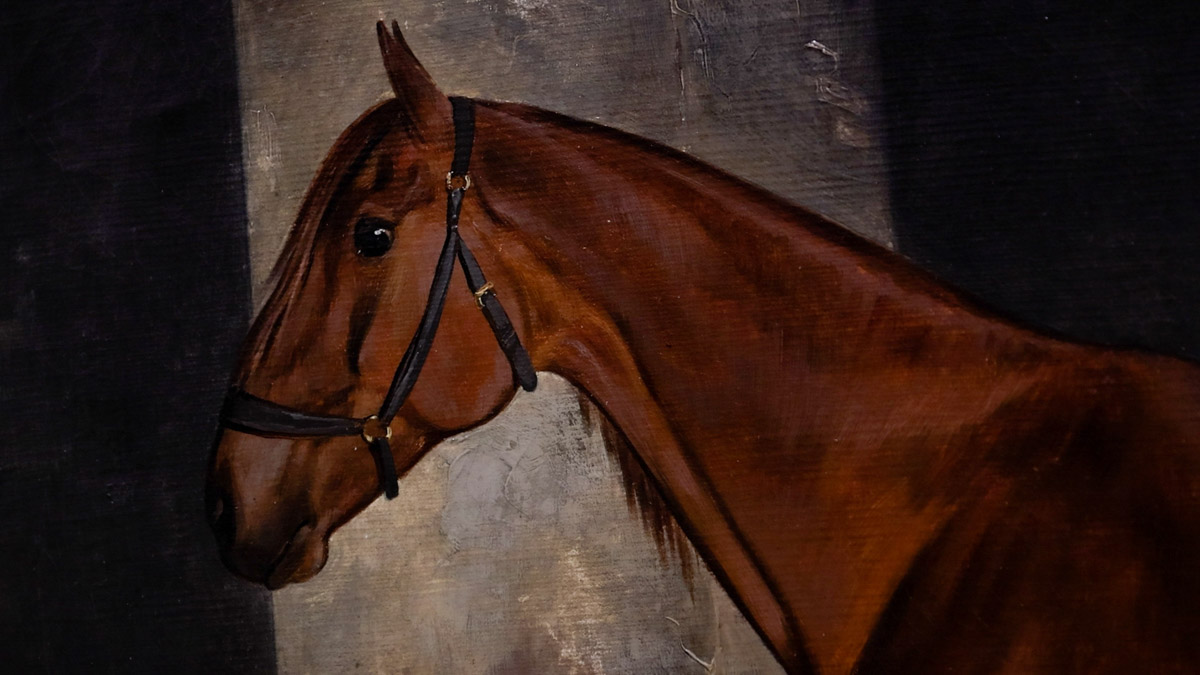 Что вы знаете о Юрьеве-Польском? Наверняка большинство вспомнит белокаменный Георгиевский собор, где туристы ищут рельеф со слоном. Другие — памятник князю Долгорукому около земляных валов. А что, если прогуляться по купеческим улочкам? В городе немало строений, возведенных на средства промышленников и фабрикантов. Сначала зайдем в музей, а затем поищем интересные здания в центре!