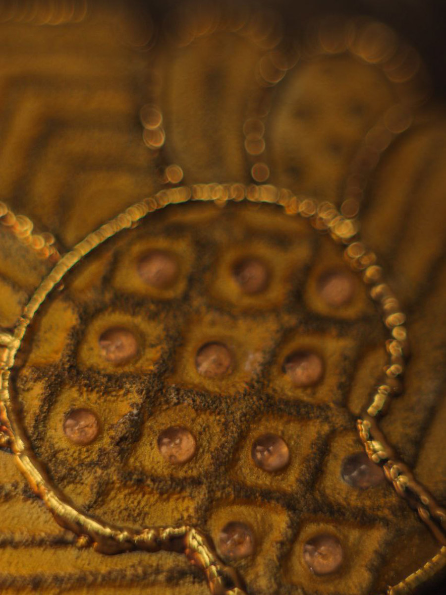 Сразу два творца из нашего региона в этом году принимают участие в масштабной выставке современного русского искусства «СВОЯСИ». Свои произведения в Государственном историческом музее в числе прочих 79 мастеров представили ювелир из Мурома Семен Старов и керамист из Владимира Елизавета Комарова. Рассмотрим их работы поближе!