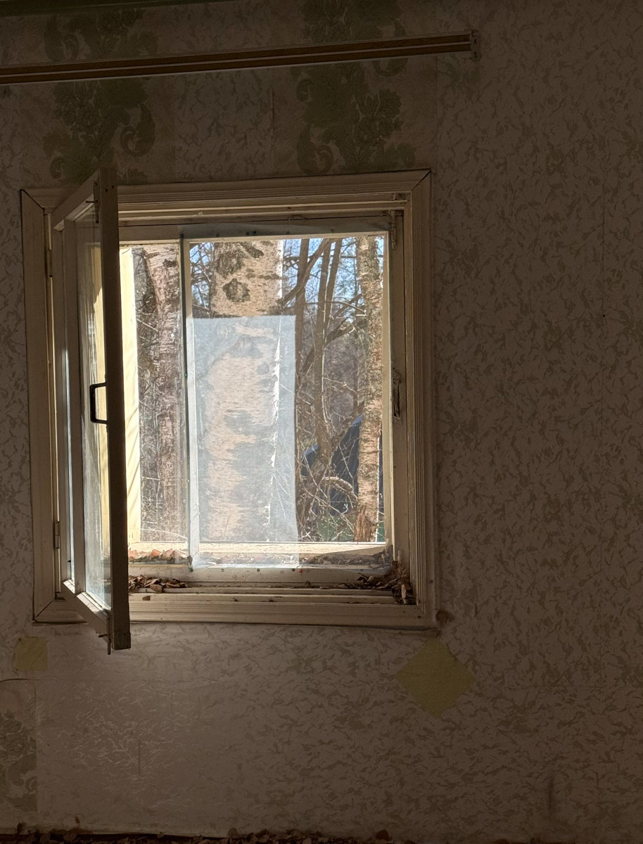 Брошенные летние лагеря хранят особенную атмосферу. За ней в Селивановский район вместе с членами семьи отправилась сталкер Натали Доброта. Она прошлась по заросшим дорожкам и ненадежным ступеням корпусов бывшей спортивно-оздоровительной базы, а потом поделилась полученными впечатлениями с «Ключ-Медиа». 