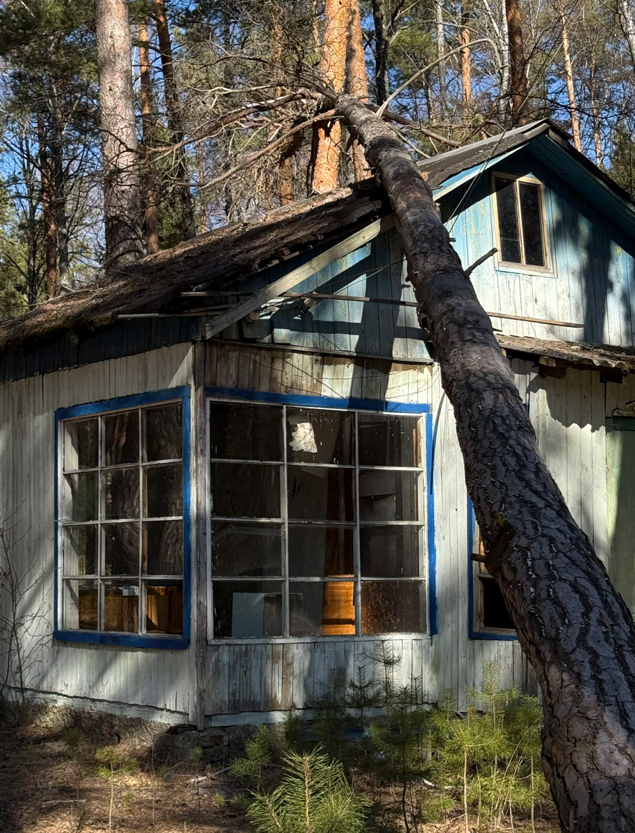 Брошенные летние лагеря хранят особенную атмосферу. За ней в Селивановский район вместе с членами семьи отправилась сталкер Натали Доброта. Она прошлась по заросшим дорожкам и ненадежным ступеням корпусов бывшей спортивно-оздоровительной базы, а потом поделилась полученными впечатлениями с «Ключ-Медиа». 