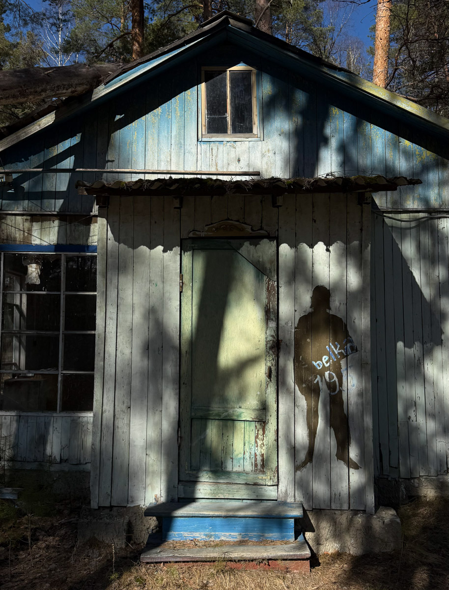 Брошенные летние лагеря хранят особенную атмосферу. За ней в Селивановский район вместе с членами семьи отправилась сталкер Натали Доброта. Она прошлась по заросшим дорожкам и ненадежным ступеням корпусов бывшей спортивно-оздоровительной базы, а потом поделилась полученными впечатлениями с «Ключ-Медиа». 