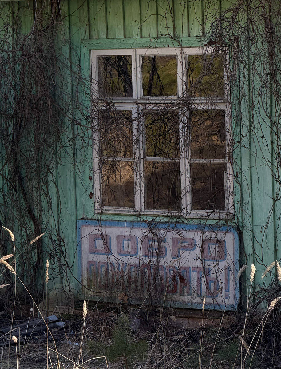 Брошенные летние лагеря хранят особенную атмосферу. За ней в Селивановский район вместе с членами семьи отправилась сталкер Натали Доброта. Она прошлась по заросшим дорожкам и ненадежным ступеням корпусов бывшей спортивно-оздоровительной базы, а потом поделилась полученными впечатлениями с «Ключ-Медиа». 