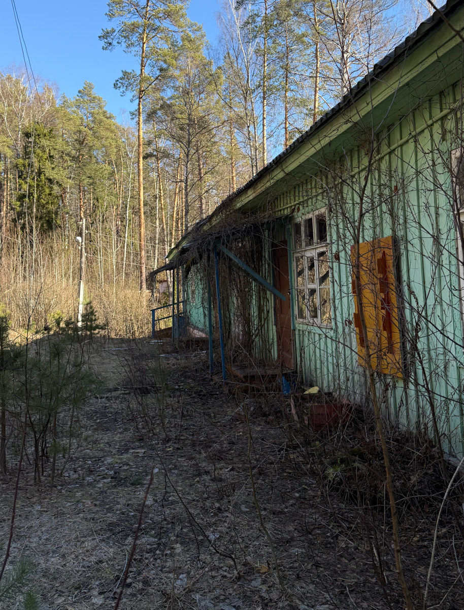 Брошенные летние лагеря хранят особенную атмосферу. За ней в Селивановский район вместе с членами семьи отправилась сталкер Натали Доброта. Она прошлась по заросшим дорожкам и ненадежным ступеням корпусов бывшей спортивно-оздоровительной базы, а потом поделилась полученными впечатлениями с «Ключ-Медиа». 