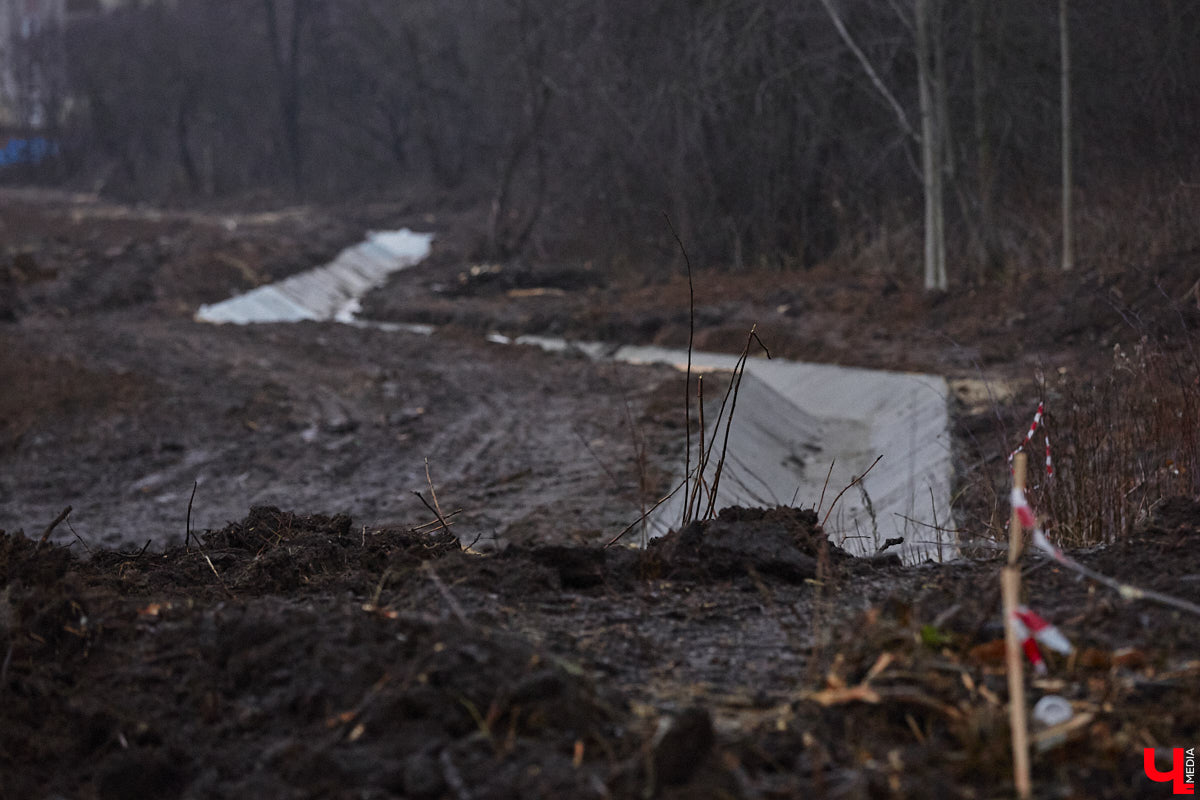 Весной так и тянет гулять, правда, во Владимире комфортных для этого пространств крайне мало. Даже благоустроенные ранее площадки не выдерживают смены сезонов и вновь требуют улучшений. «Ключ-Медиа» собрал пять зеленых зон, которые вскоре должны преобразиться, но к проектам у жителей есть вопросы.