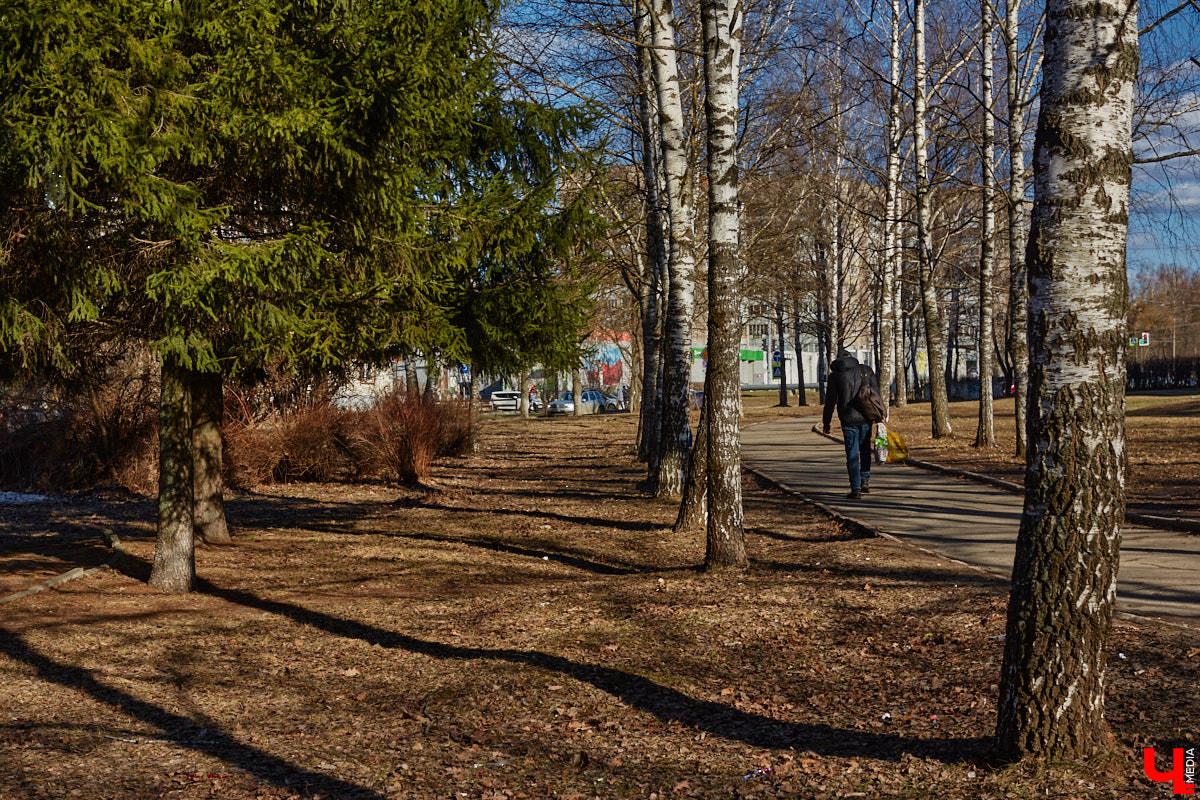 Весной так и тянет гулять, правда, во Владимире комфортных для этого пространств крайне мало. Даже благоустроенные ранее площадки не выдерживают смены сезонов и вновь требуют улучшений. «Ключ-Медиа» собрал пять зеленых зон, которые вскоре должны преобразиться, но к проектам у жителей есть вопросы.