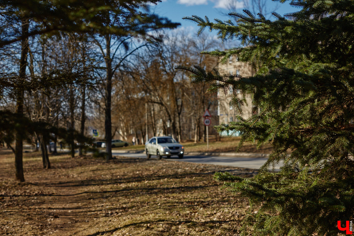 Весной так и тянет гулять, правда, во Владимире комфортных для этого пространств крайне мало. Даже благоустроенные ранее площадки не выдерживают смены сезонов и вновь требуют улучшений. «Ключ-Медиа» собрал пять зеленых зон, которые вскоре должны преобразиться, но к проектам у жителей есть вопросы.