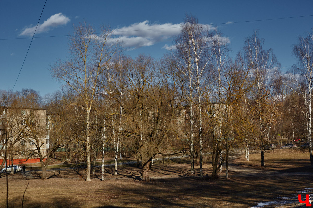 Весной так и тянет гулять, правда, во Владимире комфортных для этого пространств крайне мало. Даже благоустроенные ранее площадки не выдерживают смены сезонов и вновь требуют улучшений. «Ключ-Медиа» собрал пять зеленых зон, которые вскоре должны преобразиться, но к проектам у жителей есть вопросы.