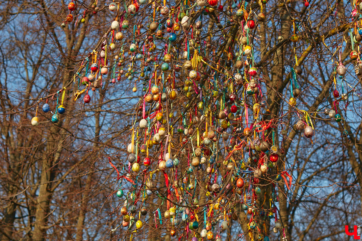 Возле Успенского собора вновь «расцветет» пасхальное дерево, а возможно, и не одно. Не исключено, что 60 тысяч писанок украсят и соседнюю липу. Присоединятся к проекту владимирских активистов и некоторые селебрити: актер Дмитрий Певцов, звездная чета Антон и Виктория Макарские, актриса Инна Гомес, художник Никас Сафронов, а также путешественник Федор Конюхов.