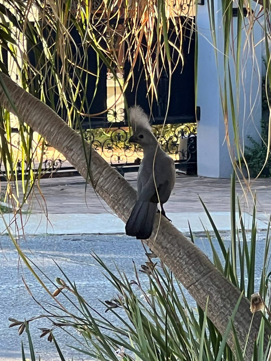 Вы знаете, сколько стоит ведение беременности и роды в Южно-Африканской Республике, если нет медицинской страховки? Отвечаем: примерно 400 тысяч рублей. Такую сумму пришлось потратить жительнице Владимира Юлии Назаровой, которая вслед за мужем переехала в ЮАР и стала там мамой во второй раз.