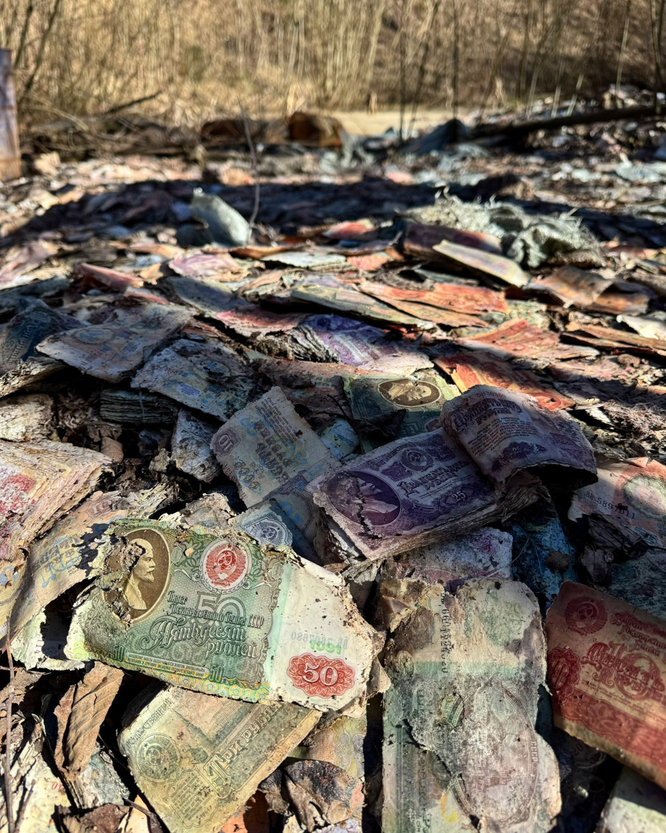 Вы знаете, что в лесах Владимирской области спрятаны миллиарды рублей? Причем не фальшивых, а настоящих, правда, вышедших из обращения. Купить на них сейчас ничего не получится, зато они регулярно привлекают внимание любителей гулять по заброшкам. На сей раз клад нашла блогер из Москвы Лина Резник.