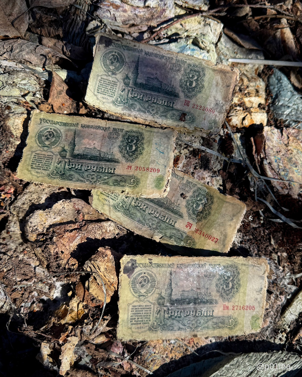 Вы знаете, что в лесах Владимирской области спрятаны миллиарды рублей? Причем не фальшивых, а настоящих, правда, вышедших из обращения. Купить на них сейчас ничего не получится, зато они регулярно привлекают внимание любителей гулять по заброшкам. На сей раз клад нашла блогер из Москвы Лина Резник.
