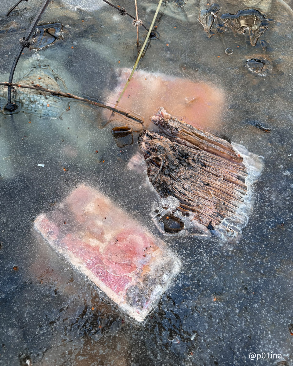 Вы знаете, что в лесах Владимирской области спрятаны миллиарды рублей? Причем не фальшивых, а настоящих, правда, вышедших из обращения. Купить на них сейчас ничего не получится, зато они регулярно привлекают внимание любителей гулять по заброшкам. На сей раз клад нашла блогер из Москвы Лина Резник.