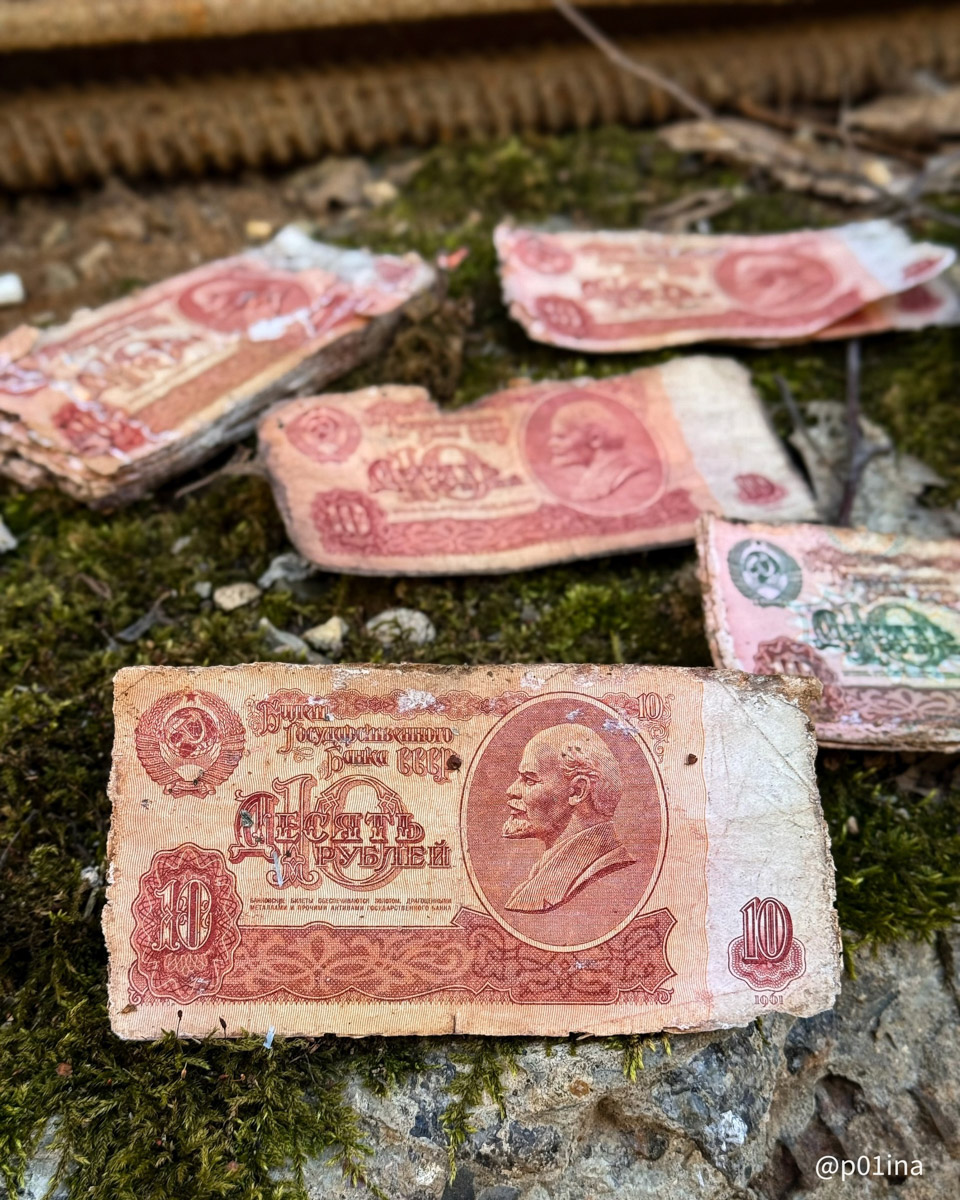Вы знаете, что в лесах Владимирской области спрятаны миллиарды рублей? Причем не фальшивых, а настоящих, правда, вышедших из обращения. Купить на них сейчас ничего не получится, зато они регулярно привлекают внимание любителей гулять по заброшкам. На сей раз клад нашла блогер из Москвы Лина Резник.