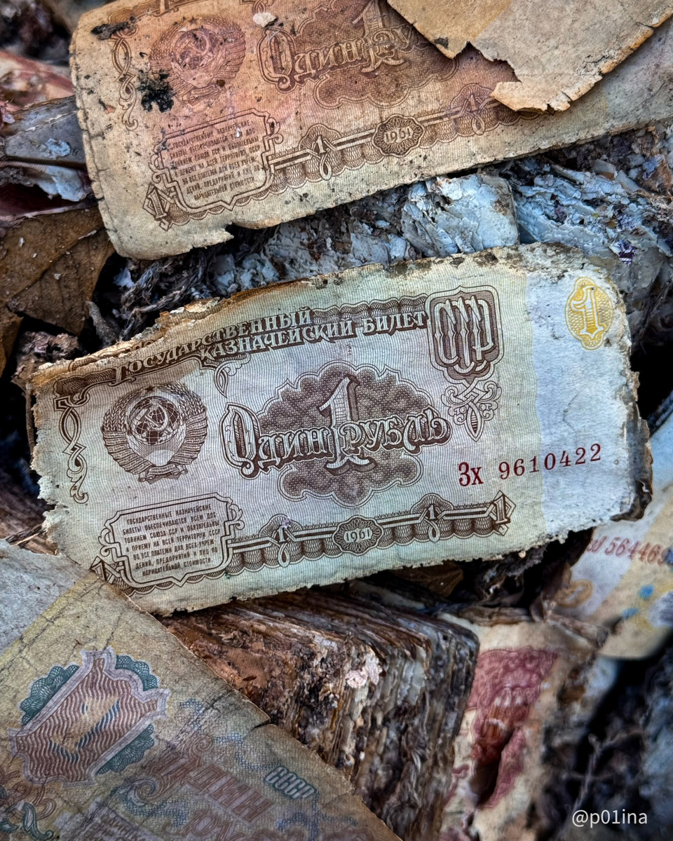 Вы знаете, что в лесах Владимирской области спрятаны миллиарды рублей? Причем не фальшивых, а настоящих, правда, вышедших из обращения. Купить на них сейчас ничего не получится, зато они регулярно привлекают внимание любителей гулять по заброшкам. На сей раз клад нашла блогер из Москвы Лина Резник.