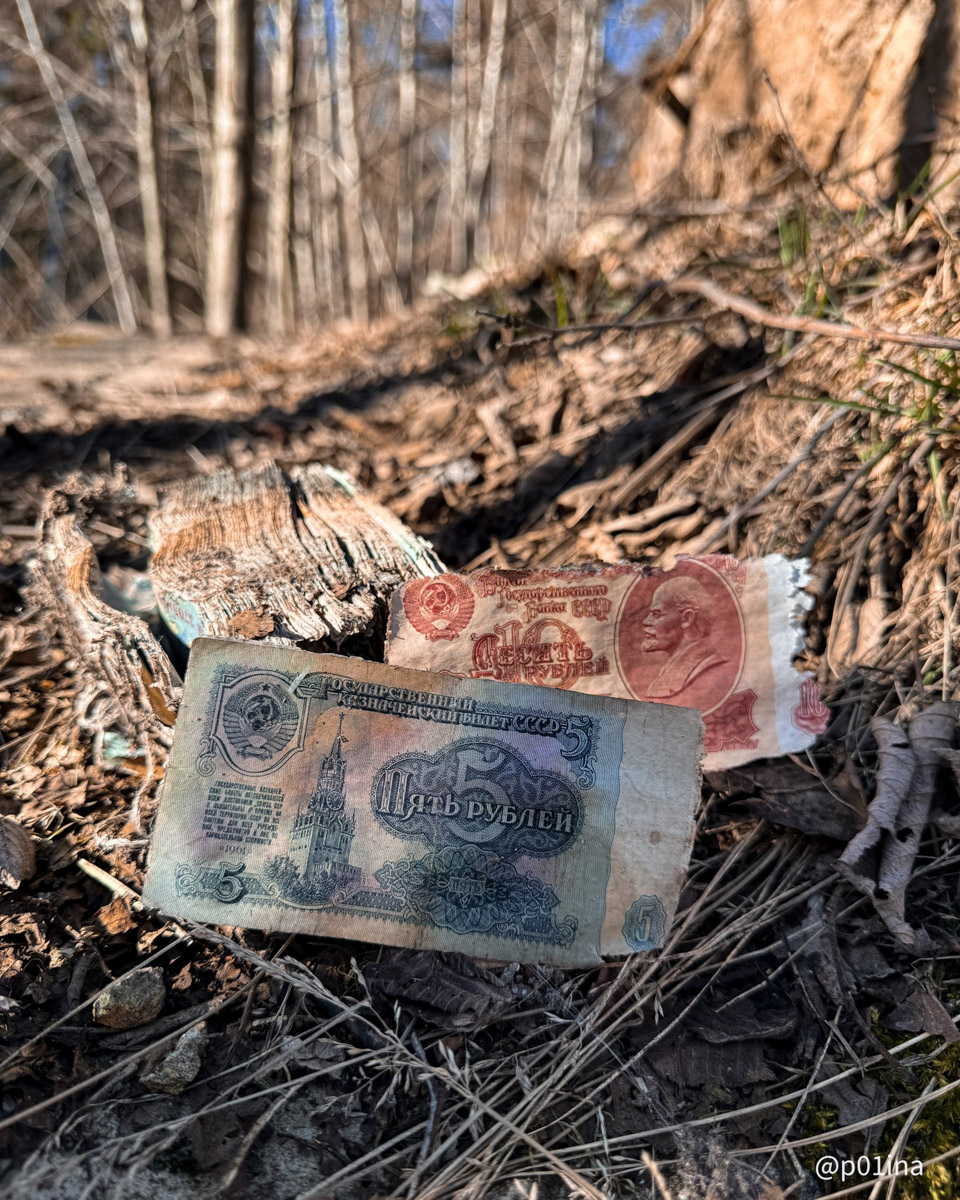 Вы знаете, что в лесах Владимирской области спрятаны миллиарды рублей? Причем не фальшивых, а настоящих, правда, вышедших из обращения. Купить на них сейчас ничего не получится, зато они регулярно привлекают внимание любителей гулять по заброшкам. На сей раз клад нашла блогер из Москвы Лина Резник.