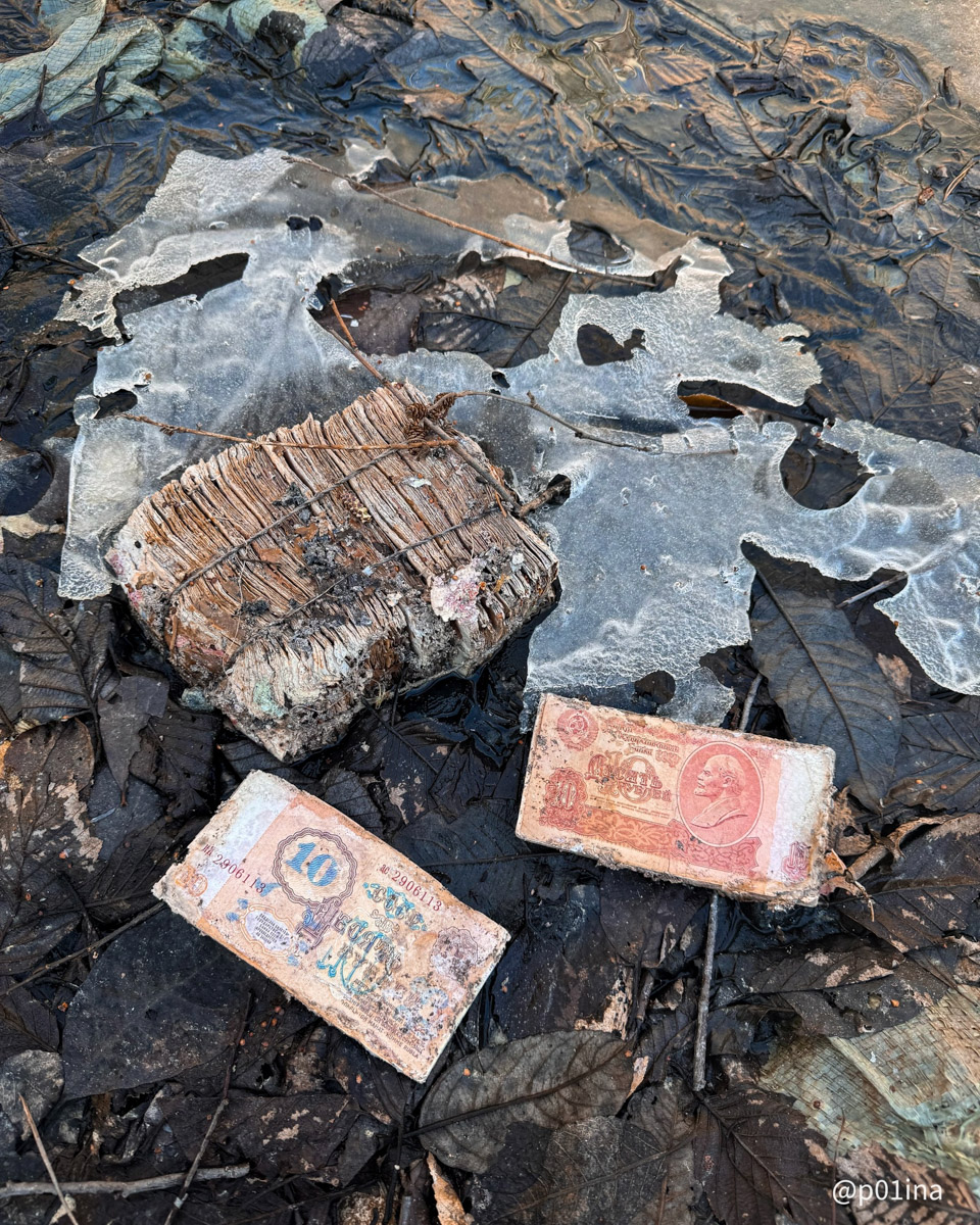 Вы знаете, что в лесах Владимирской области спрятаны миллиарды рублей? Причем не фальшивых, а настоящих, правда, вышедших из обращения. Купить на них сейчас ничего не получится, зато они регулярно привлекают внимание любителей гулять по заброшкам. На сей раз клад нашла блогер из Москвы Лина Резник.