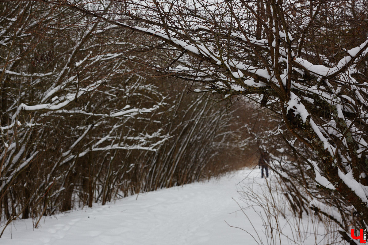 Во Владимире готовятся отремонтировать Дворец детского и юношеского творчества. О капитальных работах речь, правда, пока не идет. В этом году в порядок обещают привести кровлю и фасад. Да и то не полностью. На ремонт лицевой стороны здания уже выделено два миллиона рублей. Работы стартуют, как только позволит погода.
