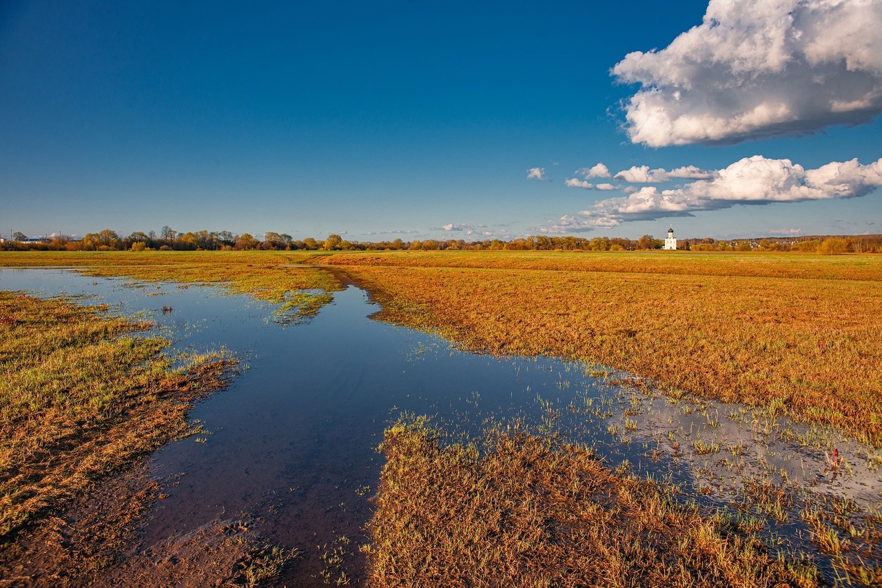 Объявления о продаже умеют удивлять. Наравне со старым шкафом и свадебным платьем новых владельцев в 33-м регионе ищут воздушный корабль и даже участок ландшафтного комплекса с богатой историей и памятником XII века поблизости. Самые неожиданные предложения «Ключ-Медиа» собрал в единый обзор.
