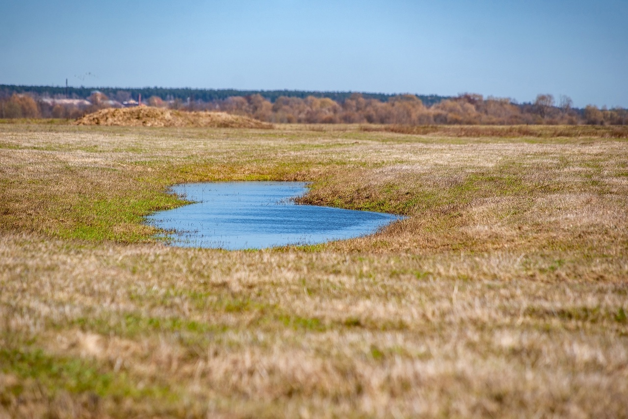 Объявления о продаже умеют удивлять. Наравне со старым шкафом и свадебным платьем новых владельцев в 33-м регионе ищут воздушный корабль и даже участок ландшафтного комплекса с богатой историей и памятником XII века поблизости. Самые неожиданные предложения «Ключ-Медиа» собрал в единый обзор.
