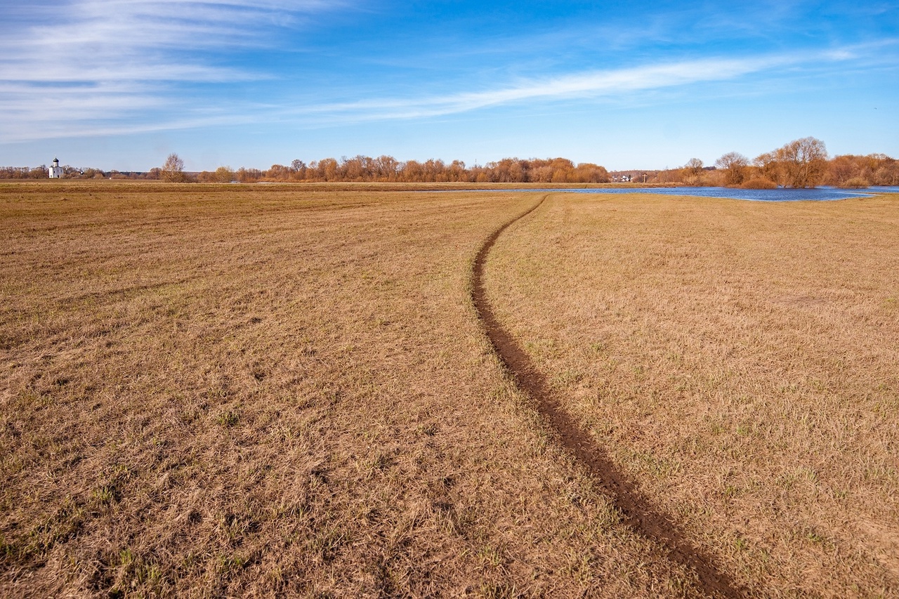 Объявления о продаже умеют удивлять. Наравне со старым шкафом и свадебным платьем новых владельцев в 33-м регионе ищут воздушный корабль и даже участок ландшафтного комплекса с богатой историей и памятником XII века поблизости. Самые неожиданные предложения «Ключ-Медиа» собрал в единый обзор.