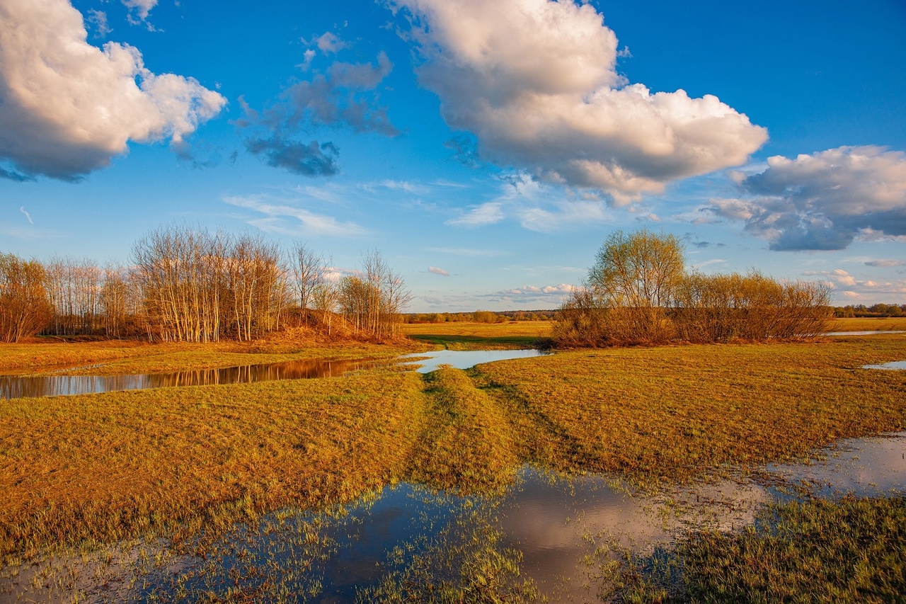 Объявления о продаже умеют удивлять. Наравне со старым шкафом и свадебным платьем новых владельцев в 33-м регионе ищут воздушный корабль и даже участок ландшафтного комплекса с богатой историей и памятником XII века поблизости. Самые неожиданные предложения «Ключ-Медиа» собрал в единый обзор.