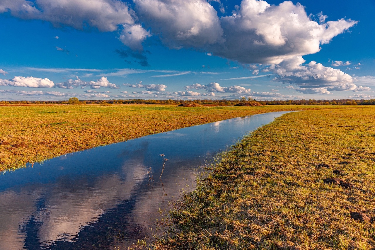 Объявления о продаже умеют удивлять. Наравне со старым шкафом и свадебным платьем новых владельцев в 33-м регионе ищут воздушный корабль и даже участок ландшафтного комплекса с богатой историей и памятником XII века поблизости. Самые неожиданные предложения «Ключ-Медиа» собрал в единый обзор.