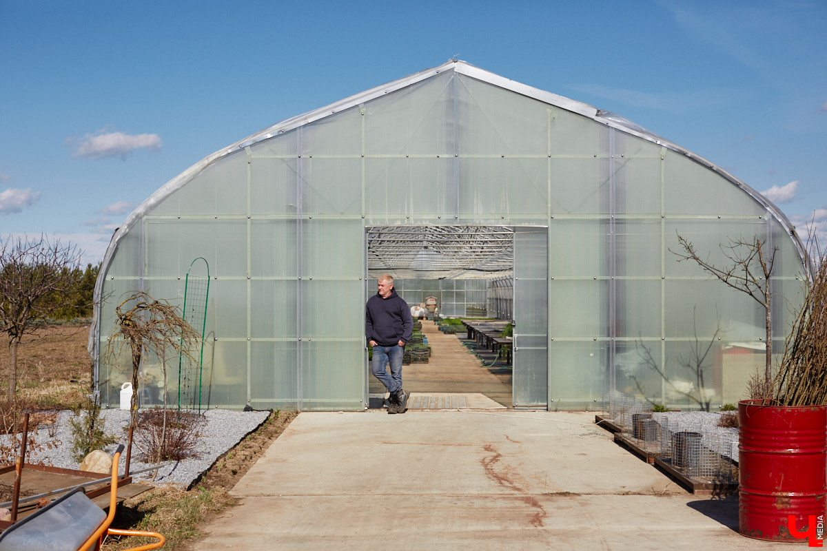 В селе Весь Суздальского района уже более 20 лет работает хозяйство Константина и Екатерины Мазуренко. Профессиональные агрономы начинали свой путь с выращивания картофеля и зерна, но со временем их дело превратилось в известный питомник. За эти годы семейная ферма превратилась в полноценное сельскохозяйственное предприятие, где помимо традиционных культур имеется богатый ассортимент рассады, декоративных растений и кустарников.