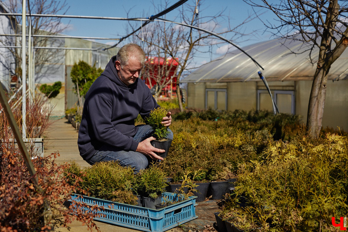В селе Весь Суздальского района уже более 20 лет работает хозяйство Константина и Екатерины Мазуренко. Профессиональные агрономы начинали свой путь с выращивания картофеля и зерна, но со временем их дело превратилось в известный питомник. За эти годы семейная ферма превратилась в полноценное сельскохозяйственное предприятие, где помимо традиционных культур имеется богатый ассортимент рассады, декоративных растений и кустарников.