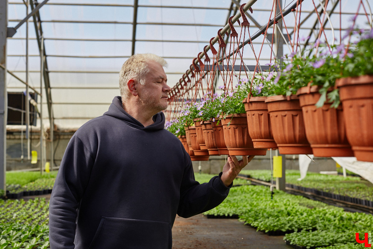 В селе Весь Суздальского района уже более 20 лет работает хозяйство Константина и Екатерины Мазуренко. Профессиональные агрономы начинали свой путь с выращивания картофеля и зерна, но со временем их дело превратилось в известный питомник. За эти годы семейная ферма превратилась в полноценное сельскохозяйственное предприятие, где помимо традиционных культур имеется богатый ассортимент рассады, декоративных растений и кустарников.