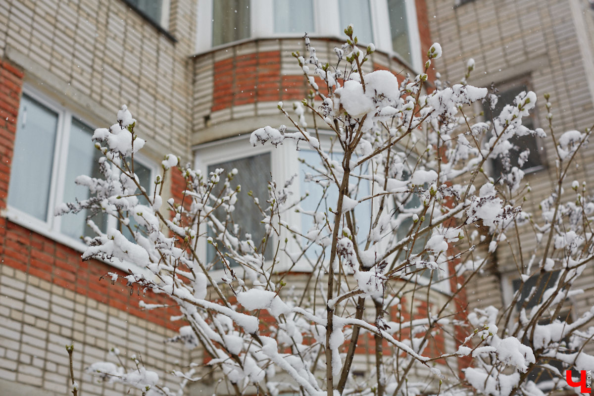 Преданным поклонникам лета придется еще подождать. Репетиция июня проходит успешно, но очень скоро весна вновь возьмет бразды правления в свои руки. Нас ожидают все самые неприятные сезонные симптомы, поэтому запасаемся терпением и теплыми носками.