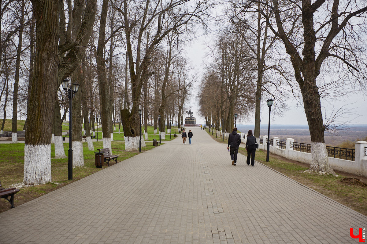 В парке Пушкина во Владимире вновь поселилась кряква. Птица традиционно свила гнездо в дупле вековой липы и, скорее всего, выводит потомство. Главное — ее не спугнуть! В то же время неподалеку от Суздаля фотографам удалось запечатлеть аистов, поселившихся на водонапорной башне, а в самом городе-музее — краснокнижного лебедя-кликуна на Ильинском лугу.