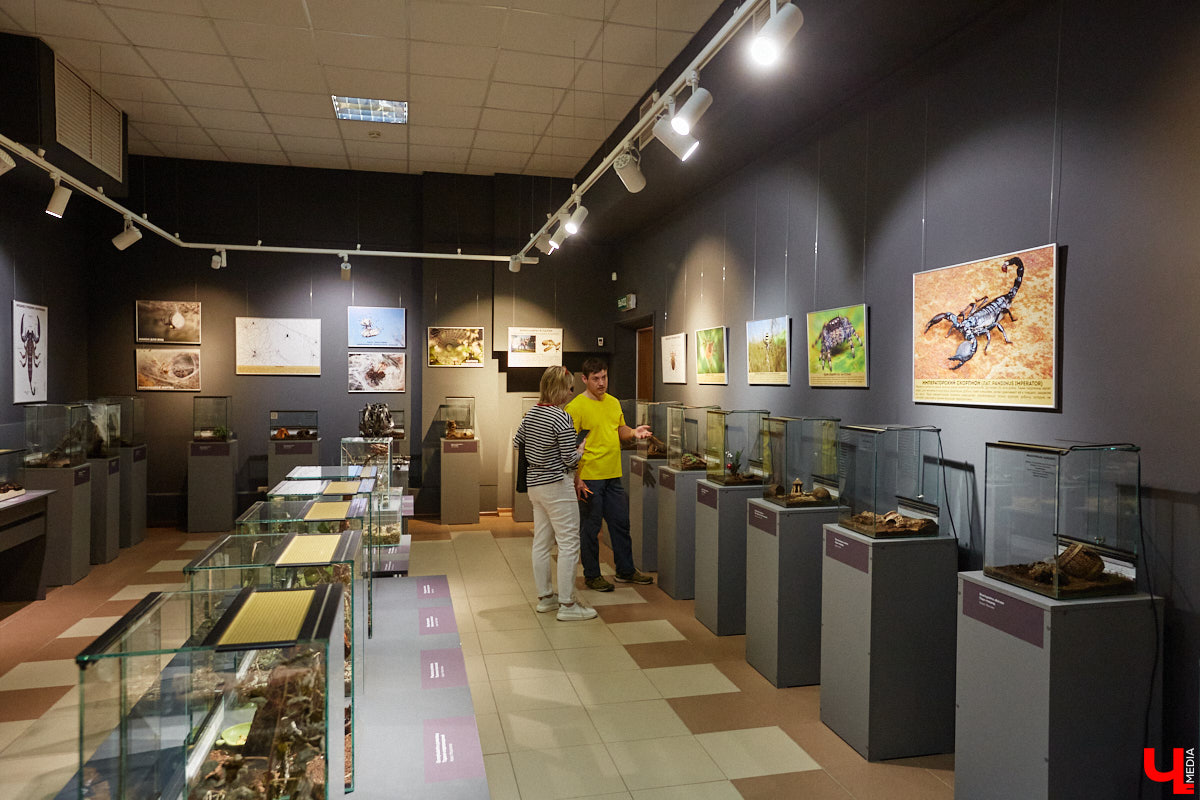 Пушистые любимцы могут быть разными. И пусть у них восемь ног и столько же глаз, а варианты расцветки затмевают радугу. Догадались, о ком речь? Даем подсказку: выставка оригинальных питомцев представлена сейчас во владимирском Музее природы. Говорят, некоторые ее посетители даже кричали от страха! Если не страдаете арахнофобией — этот фоторепортаж для вас.