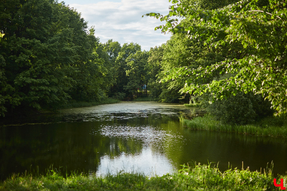 А вы уже решили, какой уголок Владимира преобразится в 2026 году? Онлайн-голосование по благоустройству городской среды стартовало — жители выбирают, где расцветут новые оазисы для отдыха. Выбор большой — от исторических улочек до современных молодежных площадок. Давайте заглянем в будущее!