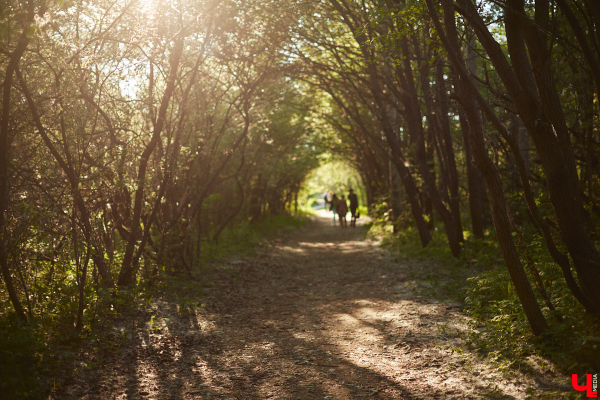 В Старых садах на улице Мира расчистят пруды и сделают набережную. Начнут, как обещают, уже летом. Еще один масштабный проект сезона — реконструкция Вокзальной площади. Полностью преобразование локации завершится через два с половиной года.