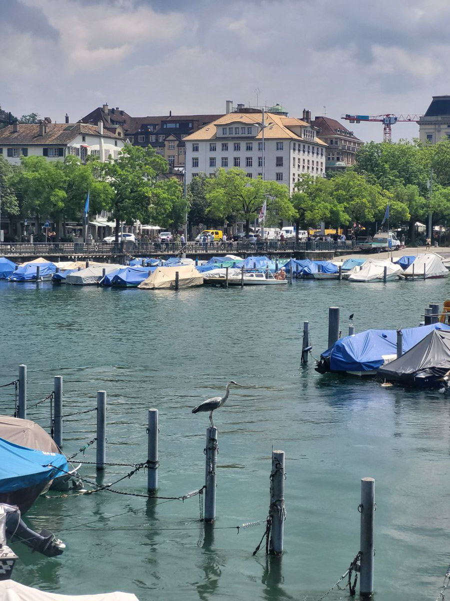 У Швейцарии сразу несколько визитных карточек, и кроме шоколада с альпийскими лугами это сыр. Именно за «дырявым золотом» отправилась в Цюрих Анна Яхаева из Гусь-Хрустального. Каков популярный продукт в стране гор и озер, а также что еще привлекло внимание девушки, узнал «Ключ-Медиа».