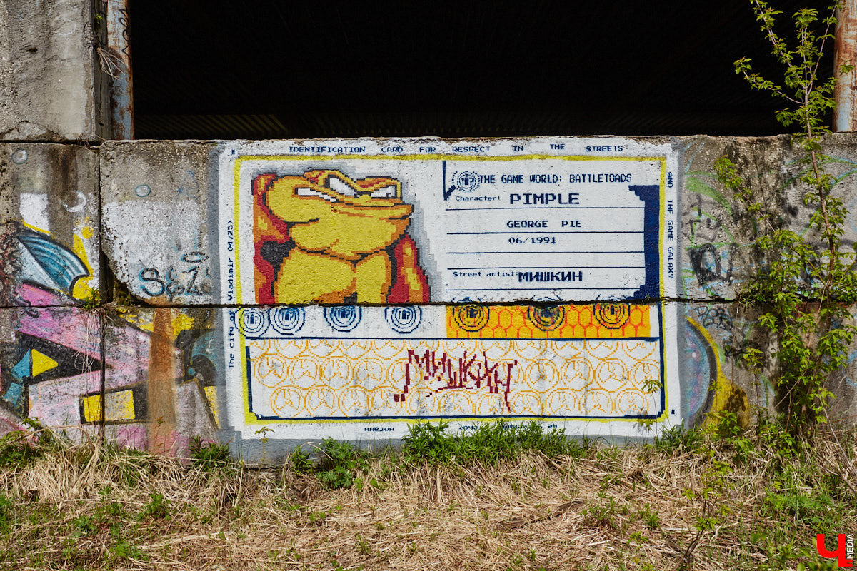 Уличные художники продолжают украшать наш город. На непримечательных стенах оживают фантазийные персонажи и разные существа, горят пламенем яркие шрифты, уносят в мир грез пейзажи. Правда, арты вдали от центра мало кто заметит, поэтому «Ключ-Медиа» решил исправить это упущение.