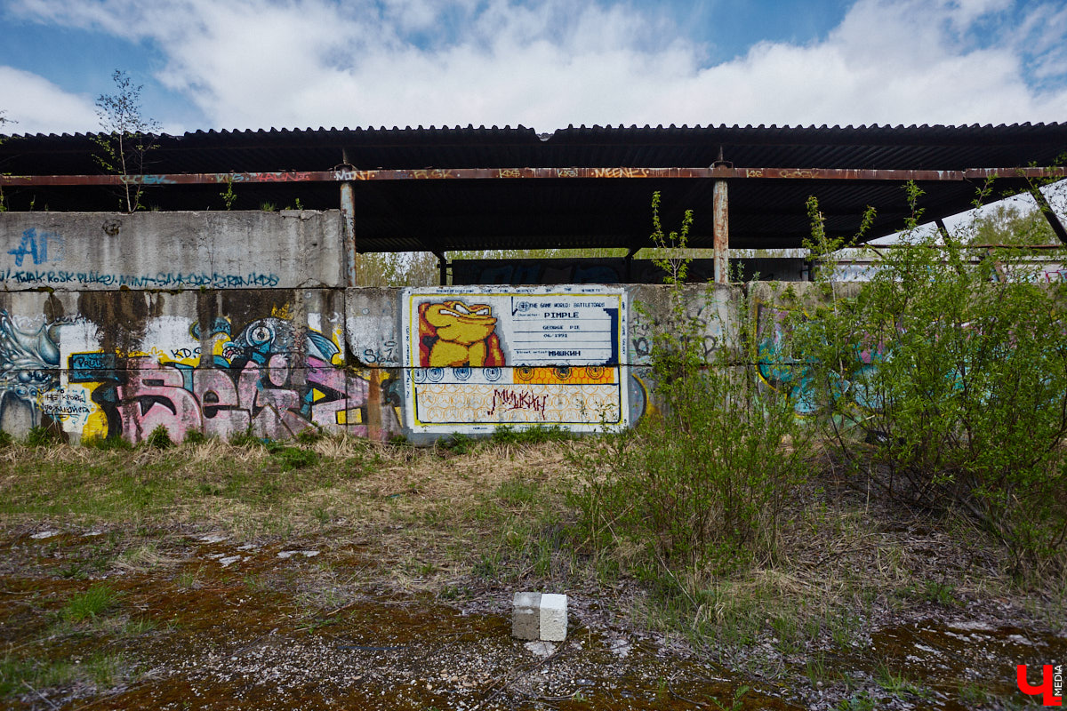 Уличные художники продолжают украшать наш город. На непримечательных стенах оживают фантазийные персонажи и разные существа, горят пламенем яркие шрифты, уносят в мир грез пейзажи. Правда, арты вдали от центра мало кто заметит, поэтому «Ключ-Медиа» решил исправить это упущение.